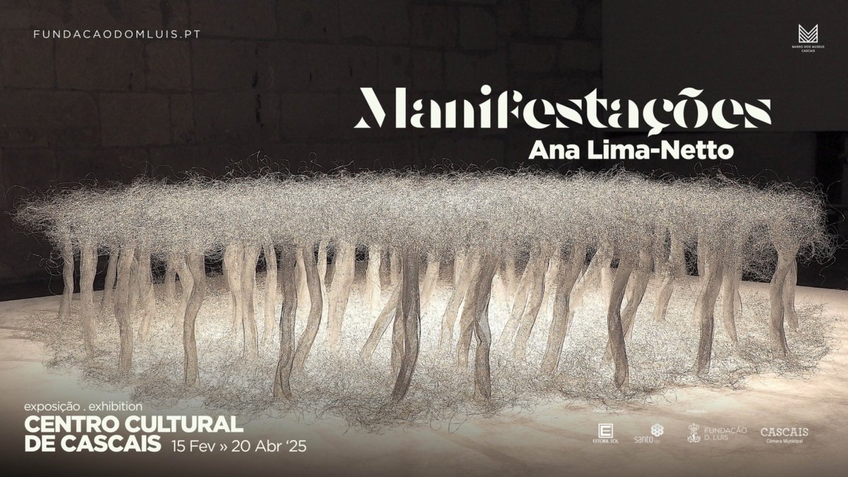 “Manifestações” por Ana Lima-Netto